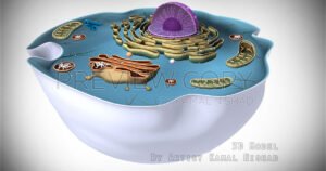 SCIENTIFIC 3D MODEL | 3D model, Light & Render This is a Scientific 3D Model.  One of my client/customer wanted me to create this 3D model of his project.  Created by © Kamal Nishad. All rights reserved. kamalnishad.com +91 9501247988 – 01