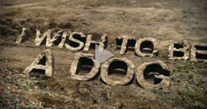 SHORT MOVIE TITLE | created with 3d & match-moving technology “I WISH TO BE A DOG” title in 3D  This is a short movie/film title, created with 3d and match-moving technics (VFX).  Producer : Mr. Bobby Sachdeva Ji (AJAB PRODUCTIONS) VFX By : KAMAL NISHADkamalnishad.com